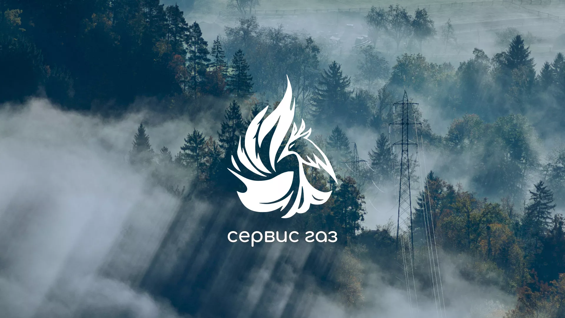 Создание сайта компании «Сервис газ» в Вёшках