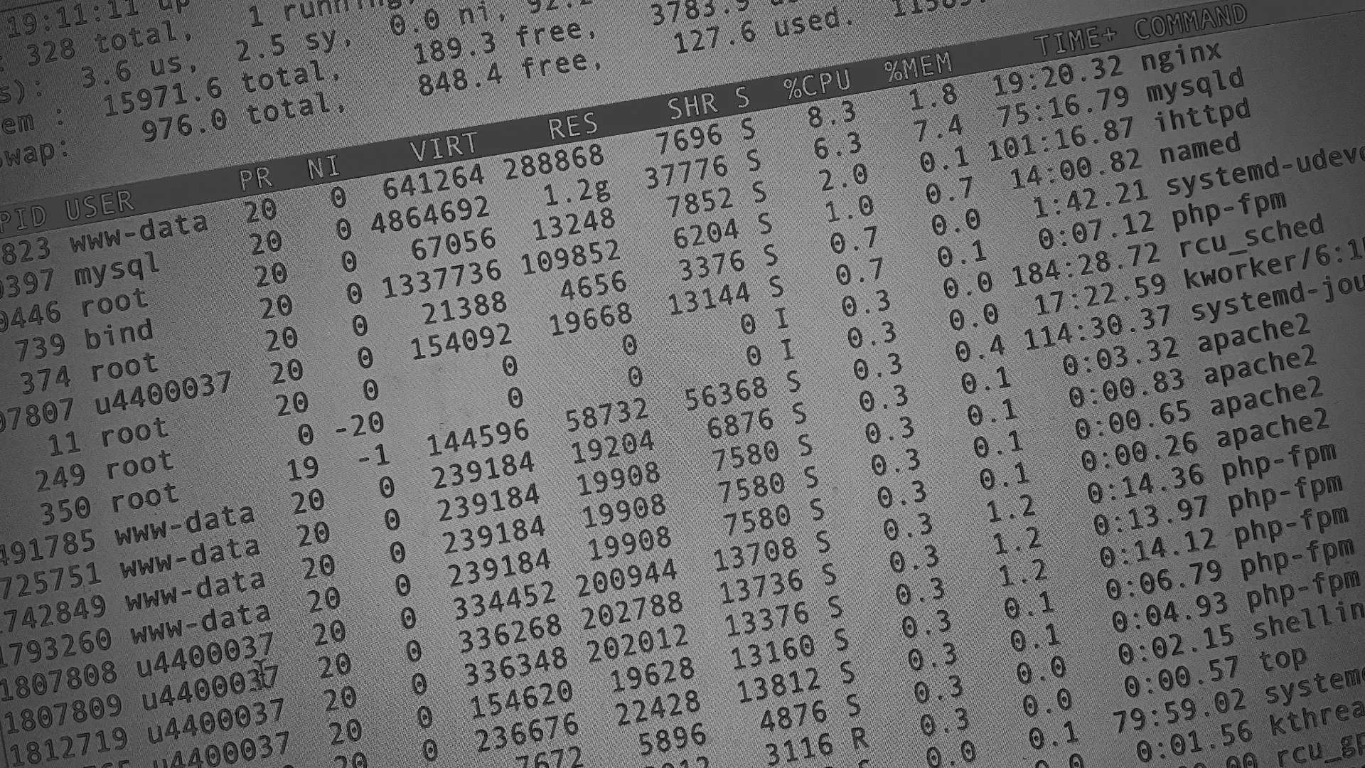 Настройка сервера в Вёшках